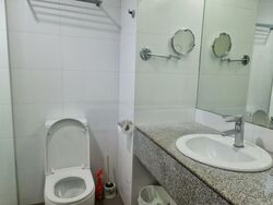 Holland Hill Park (D10), Condominium #519043551